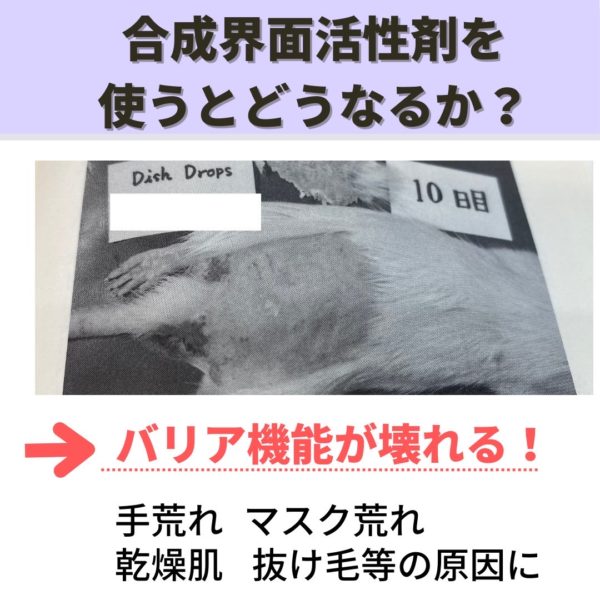最終値下げ　界面活性剤の合成とその応用 無添加洗濯洗浄剤 バイス 2kg「メーカー公式」（0 ゼロのくらし