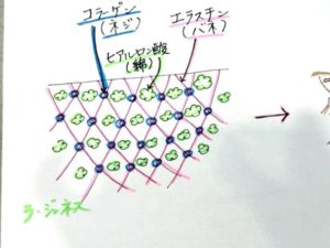 レチノールの効果と注意点