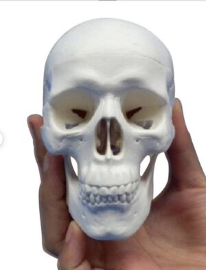 目元が老ける理由　